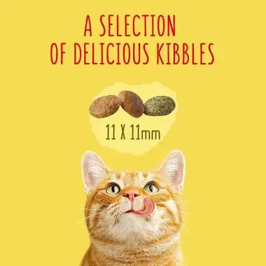 A selection of delicious kibbles