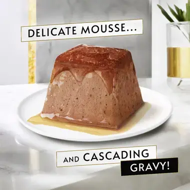 Delicate Mousse and Cascading Gravy