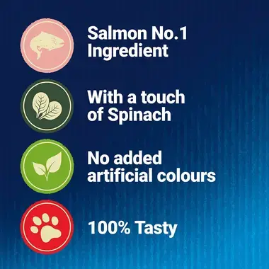Ingredients; Salmon No.1, with a touch of spinach, no added artificial colours