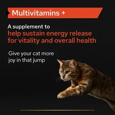 PRO PLAN® Cat Multivitamins Supplement Powder