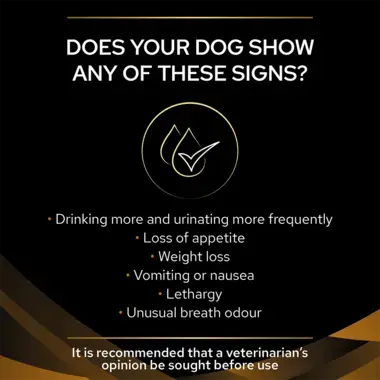 Does your dog show any of these signs?