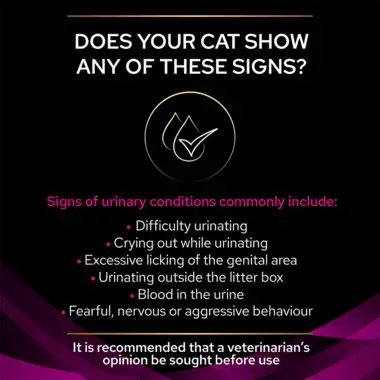 Does your cat show any of these signs?