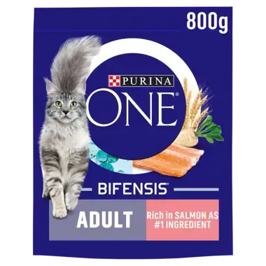 PURINA ONE® Salmon and Whole Grains Dry Cat Food