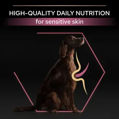 High quality daily nutrition for sensitive skin