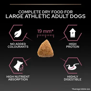 Complete dry food for large athletic adult dogs