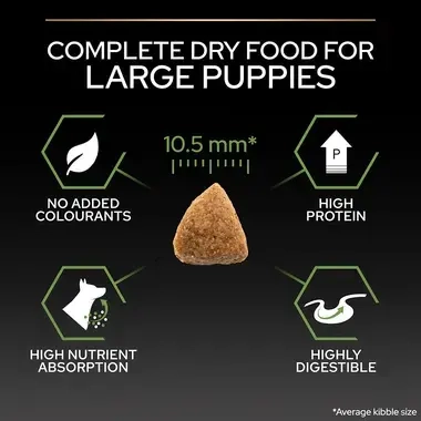 Complete dry food for large puppies