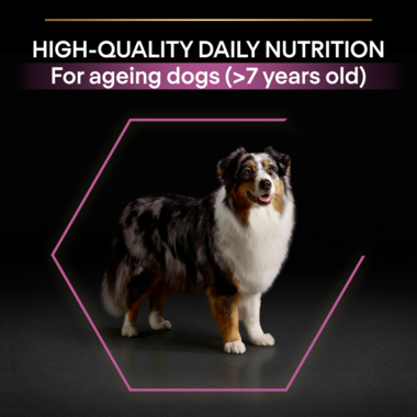 High quality daily nutrition for ageing dogs