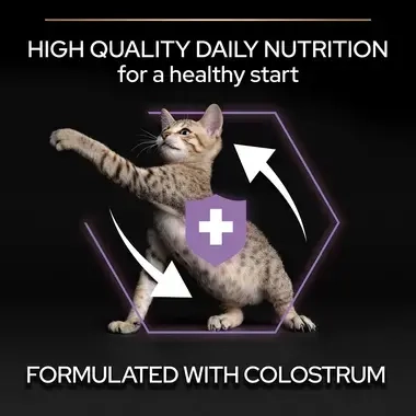 PRO PLAN® Kitten Healthy Start Chicken Dry Cat Food