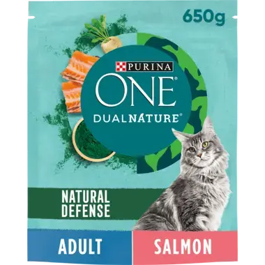 PURINA ONE® Dual Nature Salmon Dry Cat Food