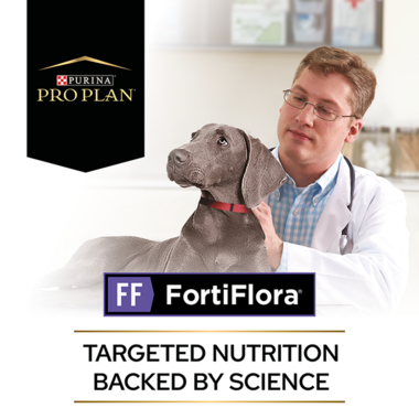 Purina Pro Plan Veterinary Diets Canine Nutritional FortiFlora Dog  Probiotic Supplement, Count of 30