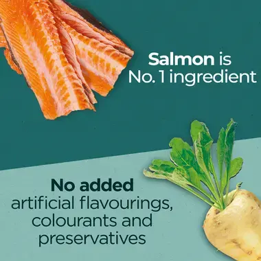 Dual Nature Salmon