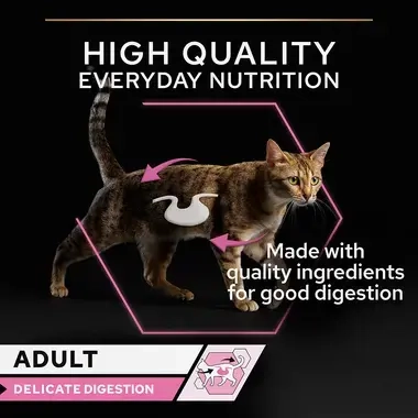 High quality everyday nutrition