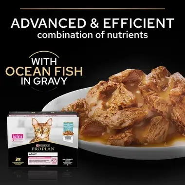 Advanced & efficient combination of nutrients with ocean fish in gravy