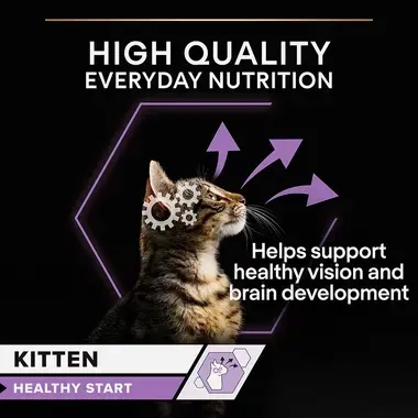 High quality everyday nutrition