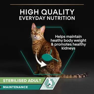 High quality everyday nutrition