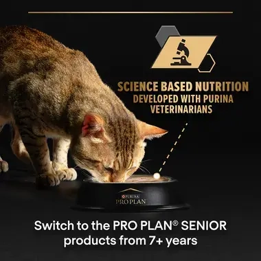 Proplan sterilised best sale