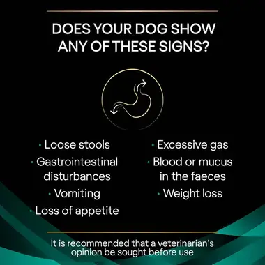 PRO PLAN® VETERINARY DIETS EN Gastrointestinal Dry Dog Food