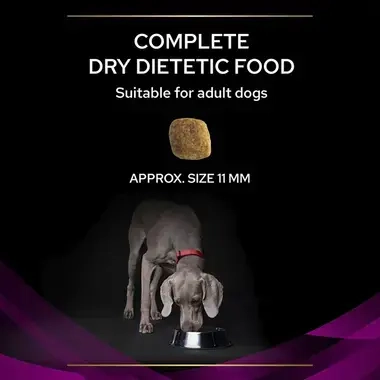 PRO PLAN® VETERINARY DIETS UR Urinary Dry Dog Food