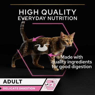High quality everyday nutrition with quality ingredients for good digestion