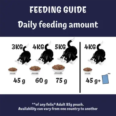 Feeding guide