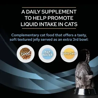 A daily supplement to help promote liquid intake in cats