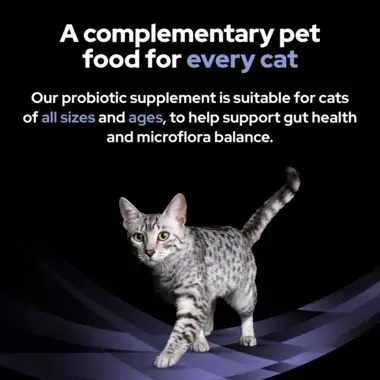 A complementary pet food for every cat