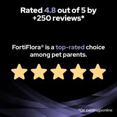 Rated 4.8 out of 5 by +250 reviews