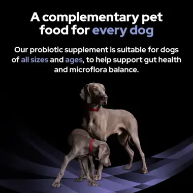 A complementary pet food for every dog