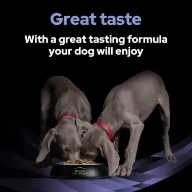 Great taste with a great tasting formula your dog will enjoy