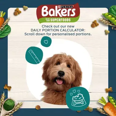 Bakers feeding calculator