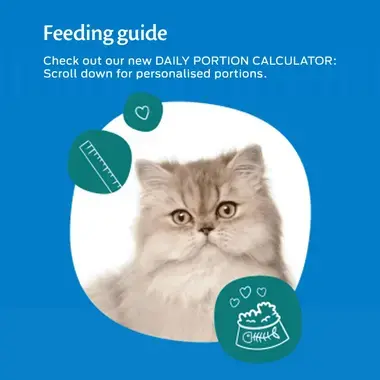 Felix feeding calculator