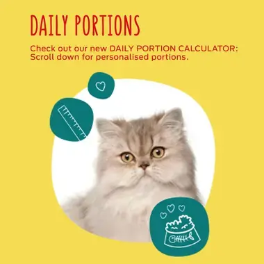 Go cat feeding calculator