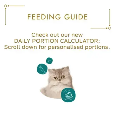 Gourmet feeding calculator