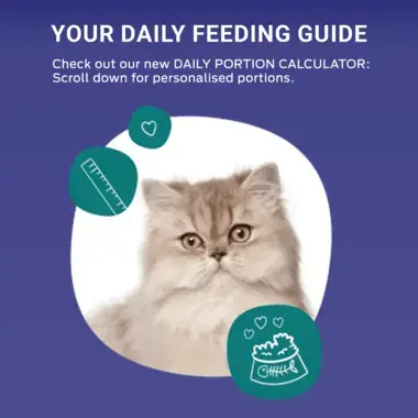 Purina One feeding calculator