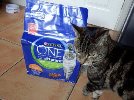 Purina ONE® Nutritionally Balanced Cat Food | Purina