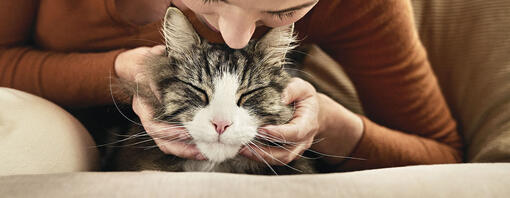 woman leaning over cat for a kiss