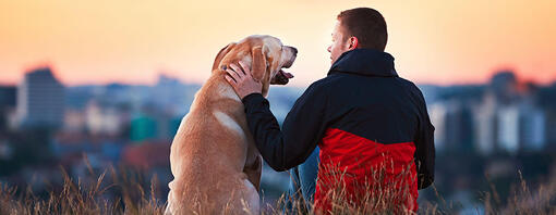 man and dog watching sunrise