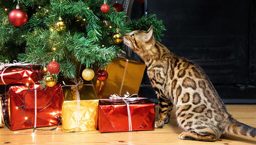 stop cat eating christmas tree