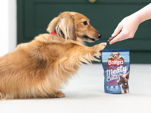 Bakers complete dog food best price hotsell