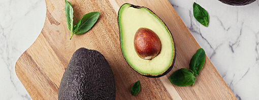 Can Dogs Eat Avocado Read Before You Feed Purina