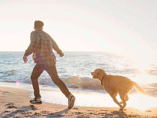 Dog and owner near the sea