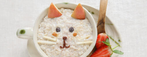 Can Cats Eat Oatmeal?