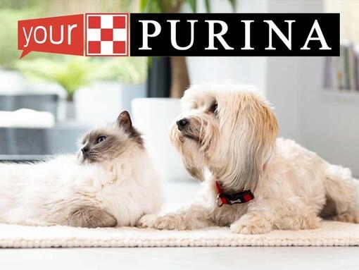 Purina free sale sample