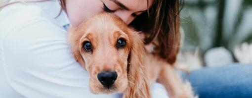 woman kissing dog on head