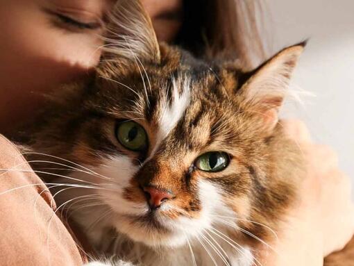 woman hugging cat