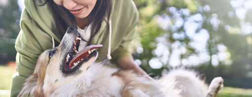 Woman holding dog rolling onto back