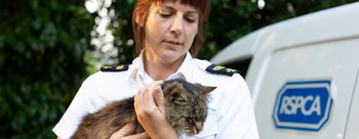 RSPCA ACO Emma Byrne on duty in Kent