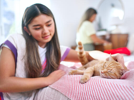Woman stroking a ginger cat on a bed