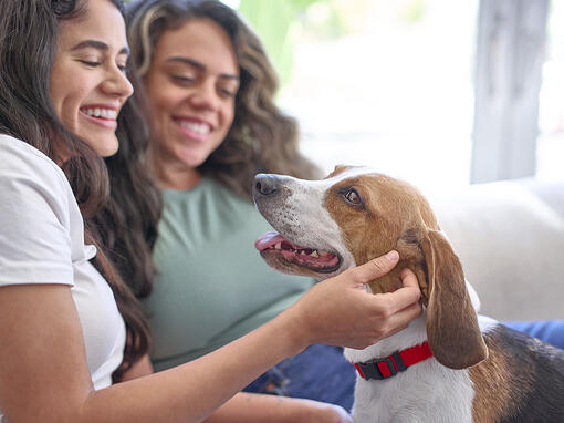 Two women on a sofa stroking their dog