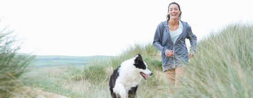 Dog at the beach with owner - hero